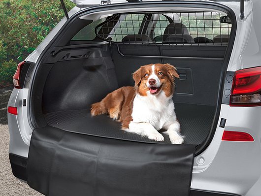 Купити Hyundai (Хюндай) в Києві. Офіційний дилер Олімп Мотор - фото 8