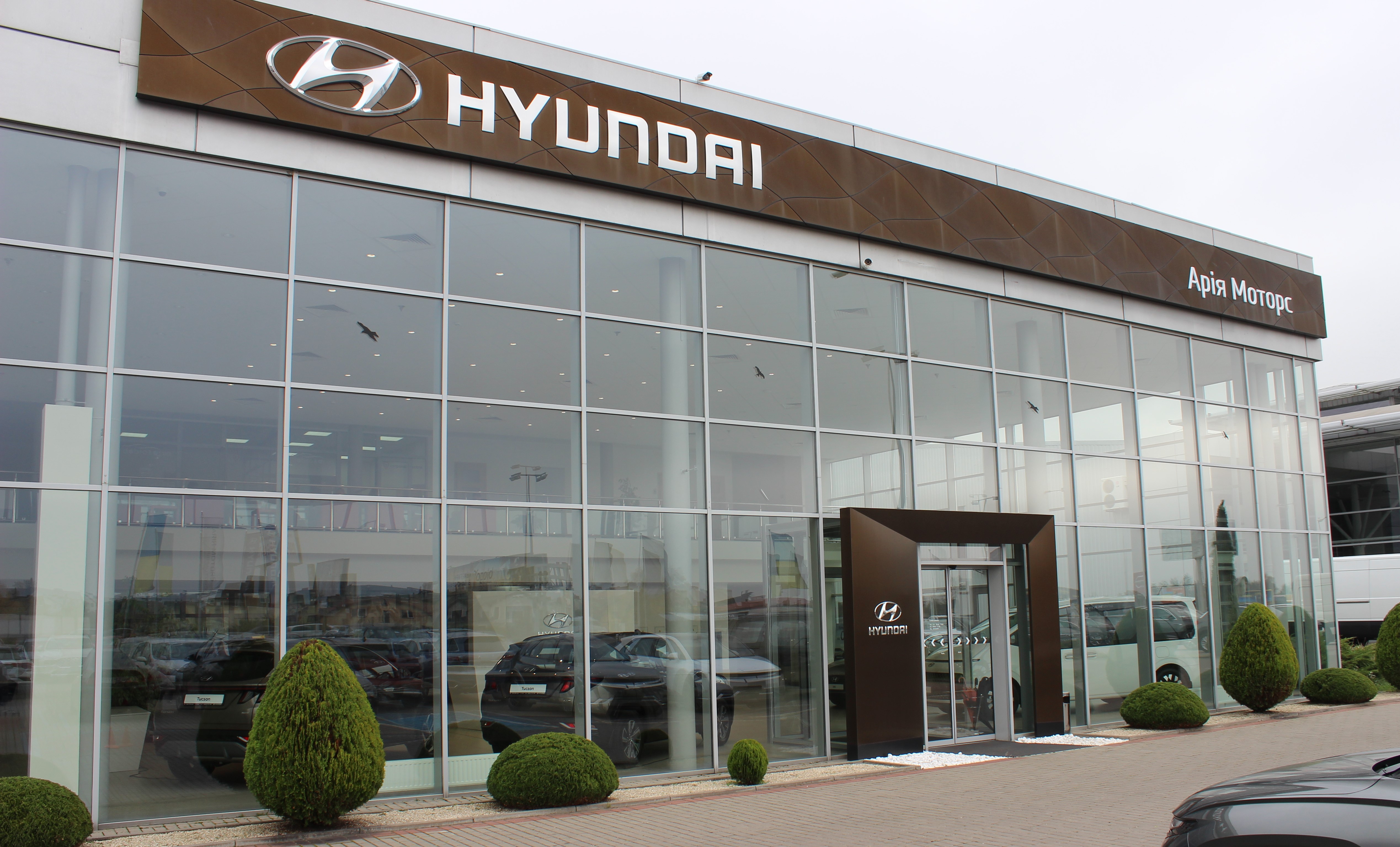 Купити Hyundai (Хюндай) в Києві. Офіційний дилер Олімп Мотор - фото 6