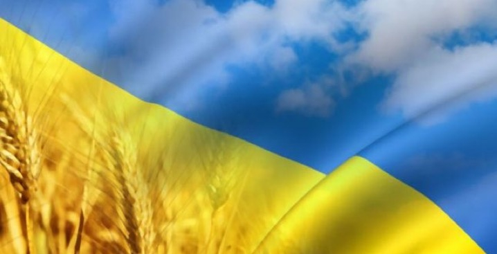 Купити Hyundai (Хюндай) в Києві. Офіційний дилер Олімп Мотор - фото 16